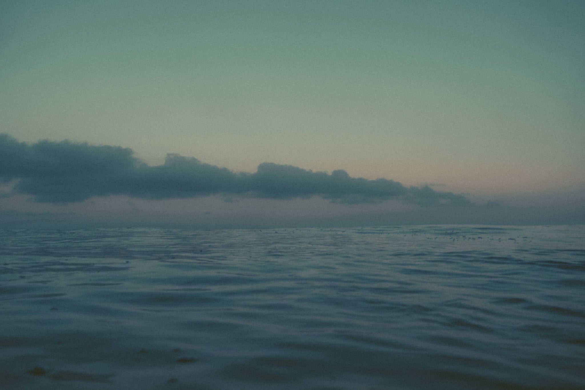 Deep Dive into Sustainability