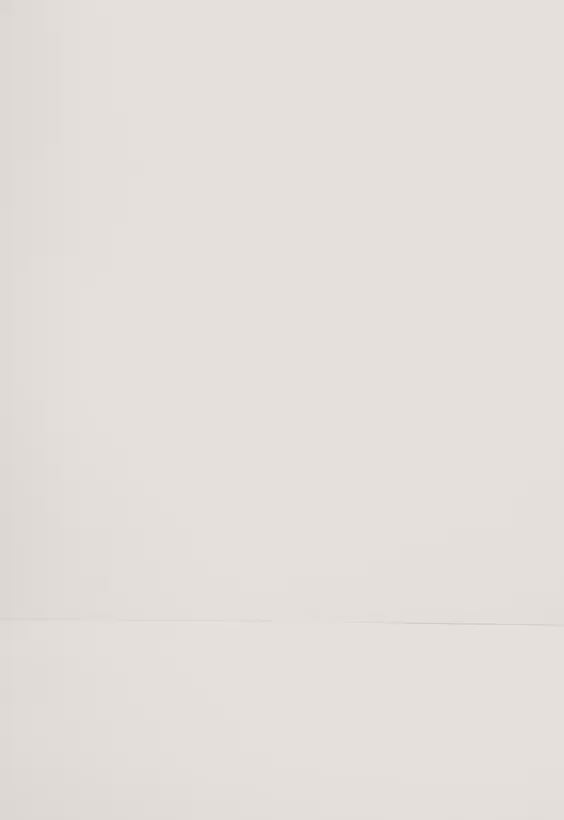 Surf Bikini Oberteil „Goby“ in Schwarz