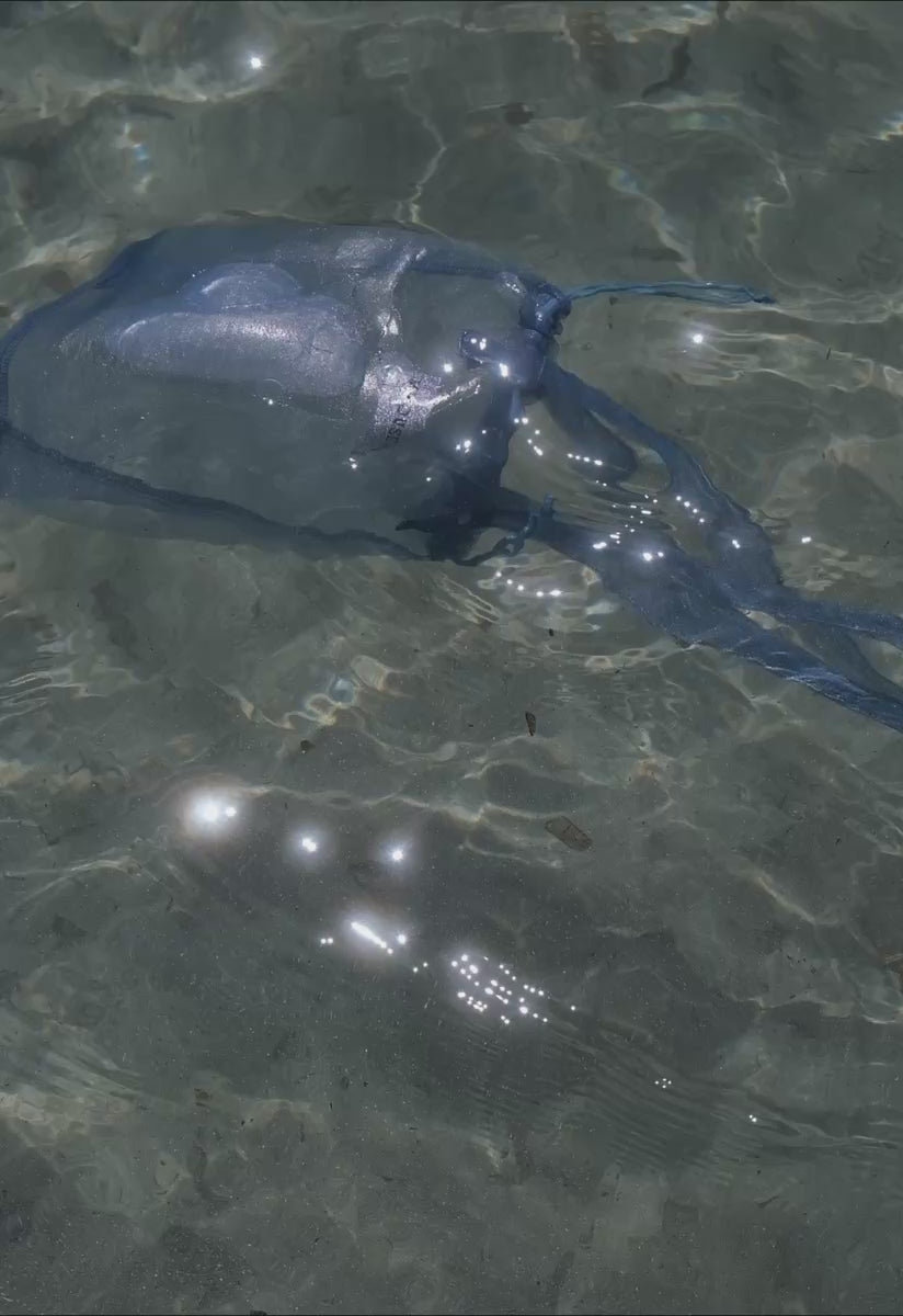 Meduse × Oy Tasche in Eisblau
