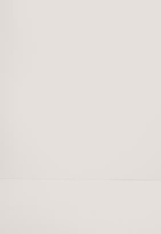 Surf Bikini Bottom "Fugu" in dark green